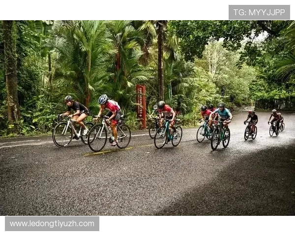 半岛体育网站介绍体育赛事数据分析工具的使用方法和实用技巧