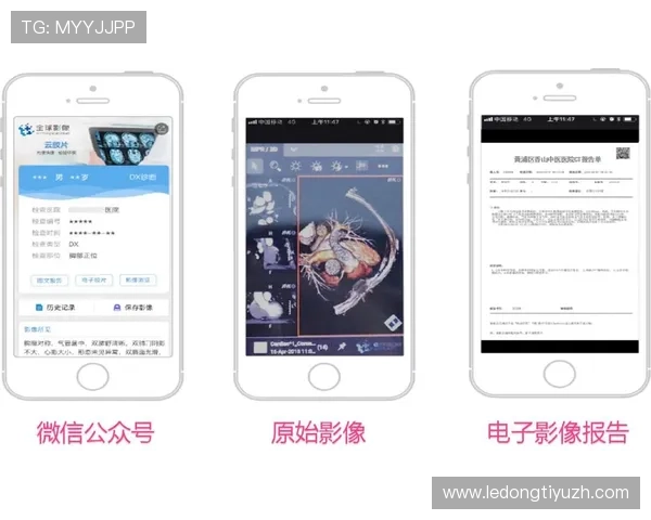 开云体育地址官方入口导航，快速找到最便捷的登录路径与使用技巧